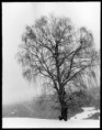 /album/galleria-fotografica/a1008-jpg1/