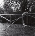 /album/galleria-fotografica/a1021-jpg/